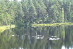 Плетневое озеро
